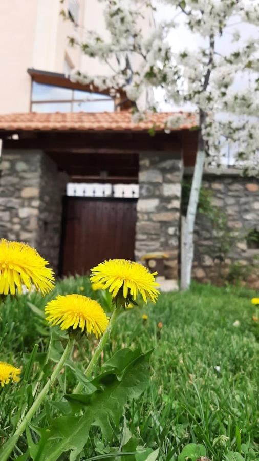 Guesthouse Tershana Peshkopi Exteriör bild